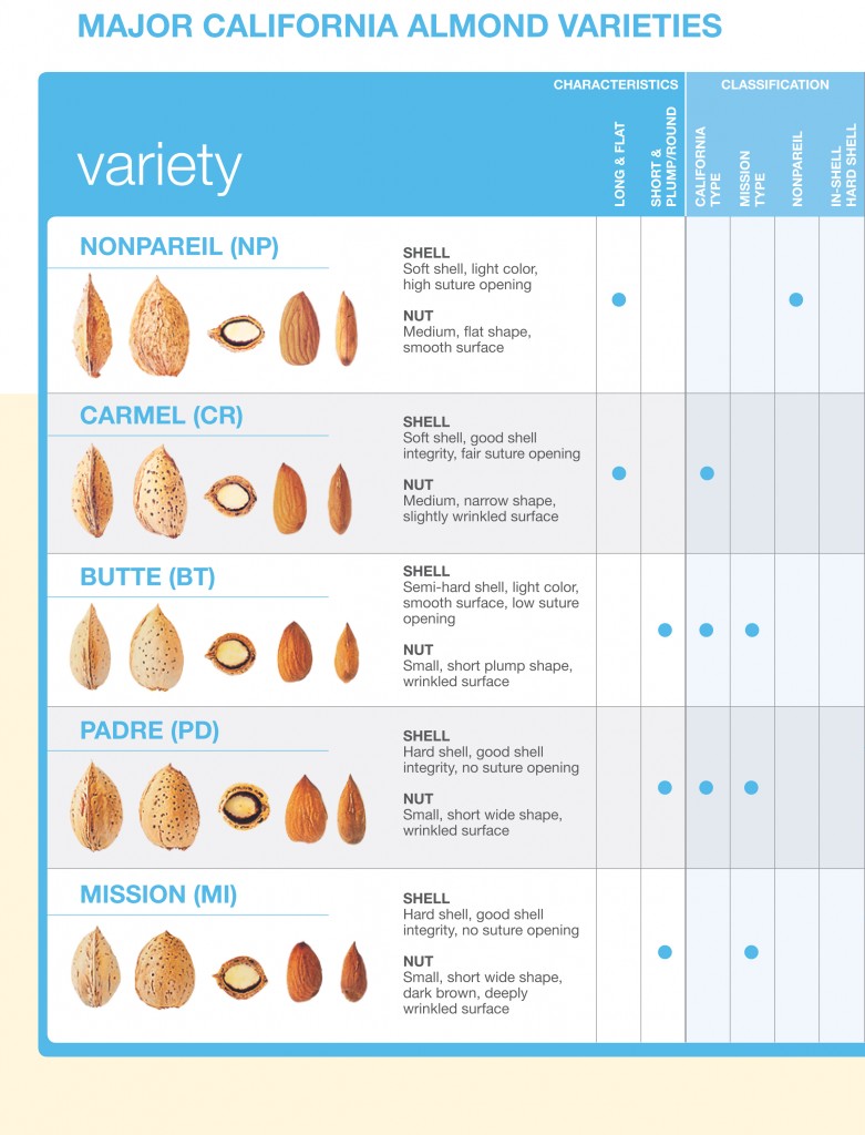 Types of California Almonds