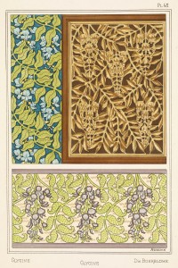 Aline Poidevin Art Nouveau Illustration of Glycines - Bohrblume