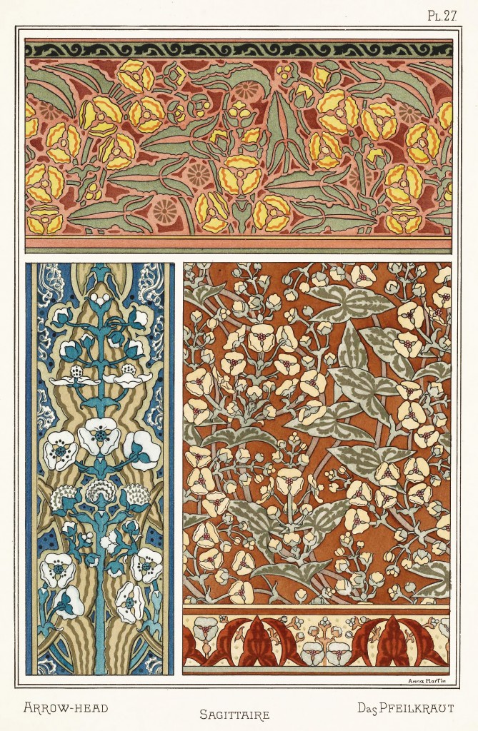 Anna Martin Art Nouveau Illustration: Arrowhead - Sagittaire - Pfeilkraut