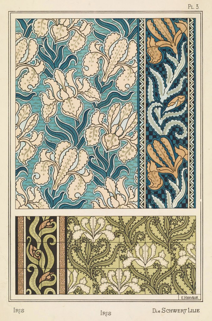 E Hervegh Art Nouveau Illustration: Iris - Schwert Lilie