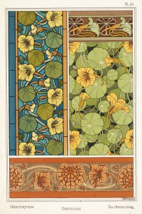 Maurice Pillard Verneuil Art Nouveau Illustration: Nasturtium - Capucine - Kapuzinerkreffe