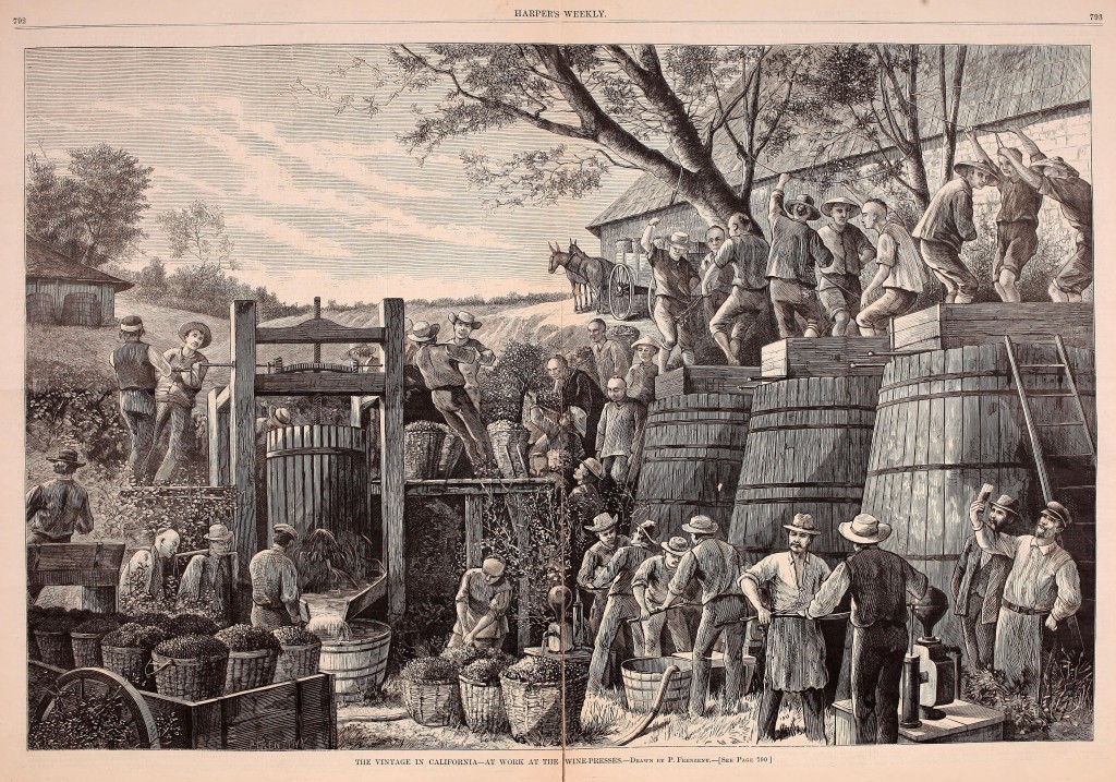 Making Wine in California -- Wine Presses - Harper's 1878